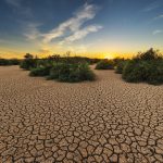 L’estate ai tempi del cambiamento climatico: tra scienza, salute e benessere